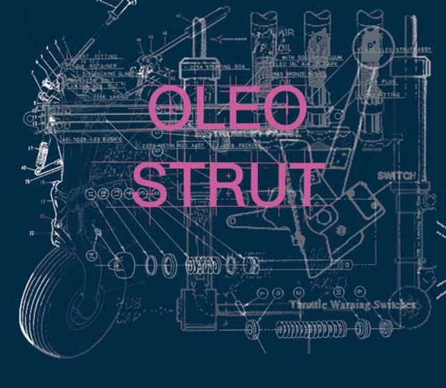 Oleo Strut