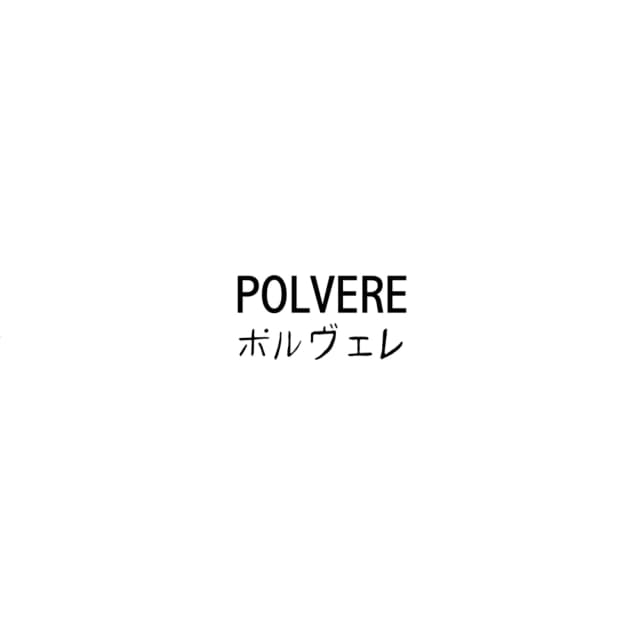 Polvere