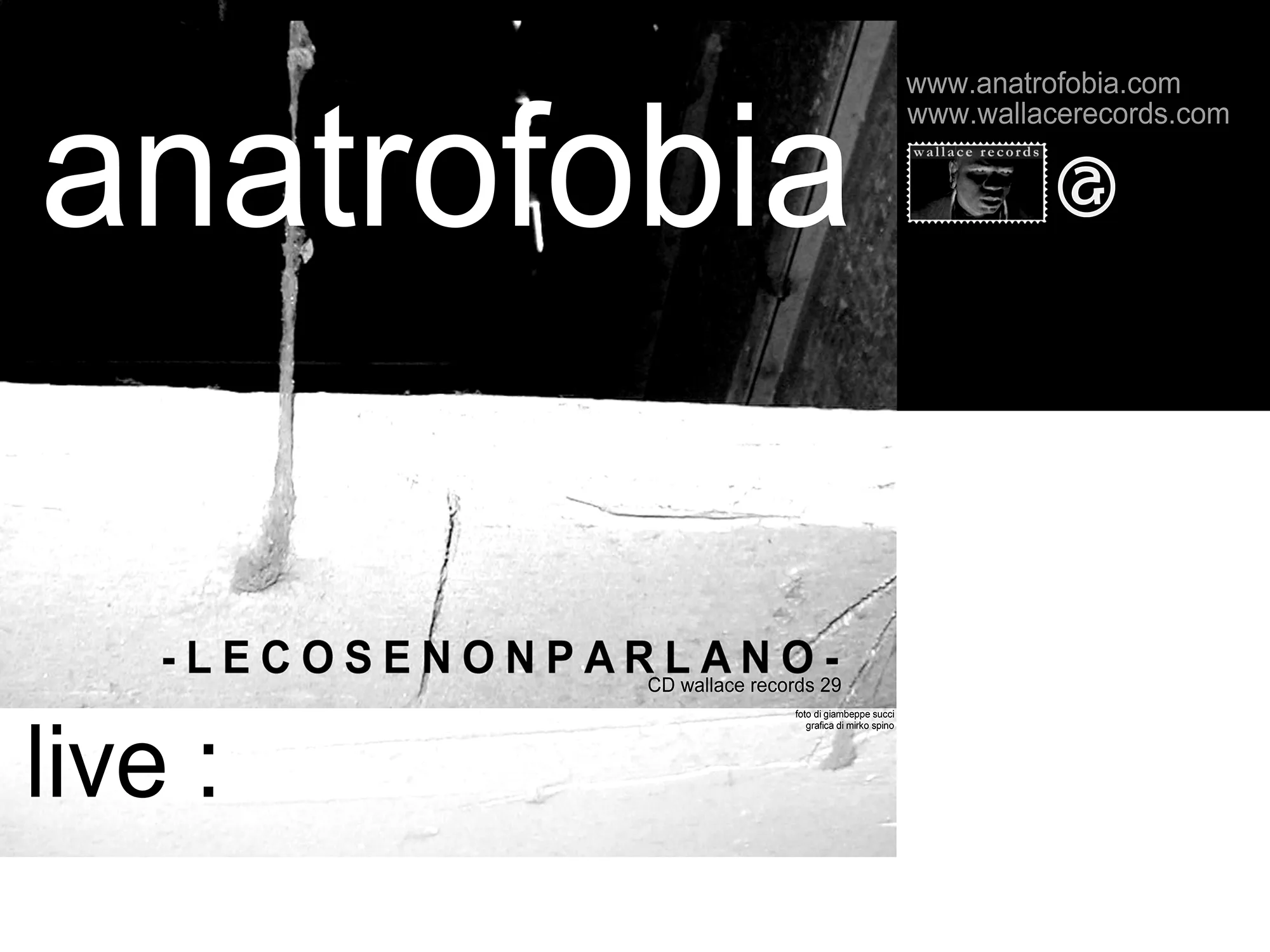 Le cose non parlano
