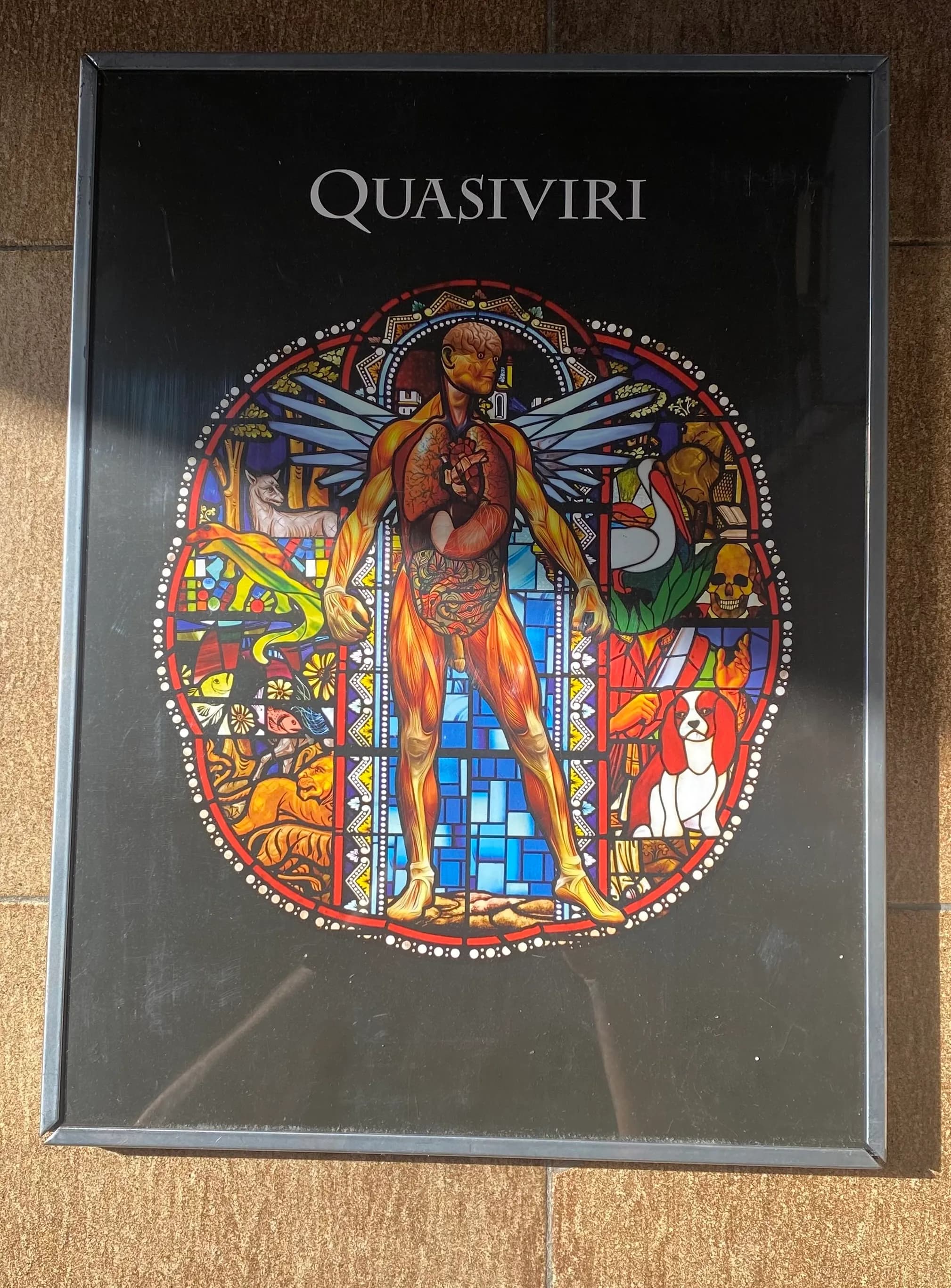 Quasiviri poster