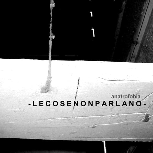L e c o s e n o n p a r l a n o