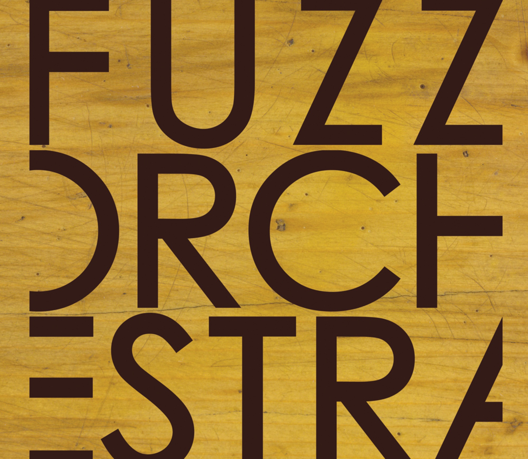 Fuzz Orchestra